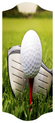 DARAY C 344 Gone Golfing (Club)